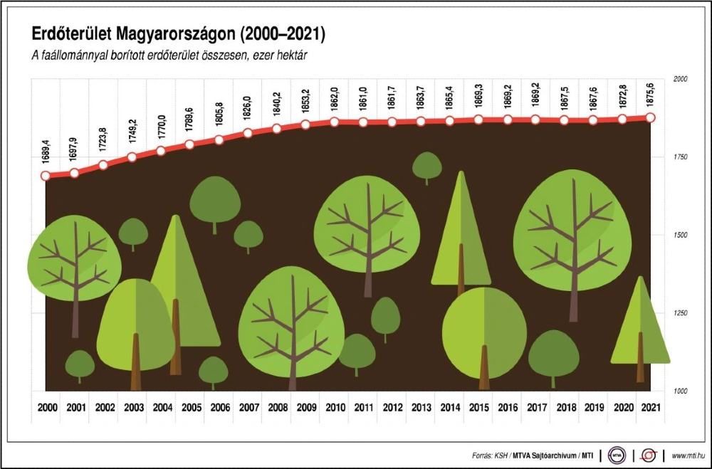 Erdőterület Magyarországon